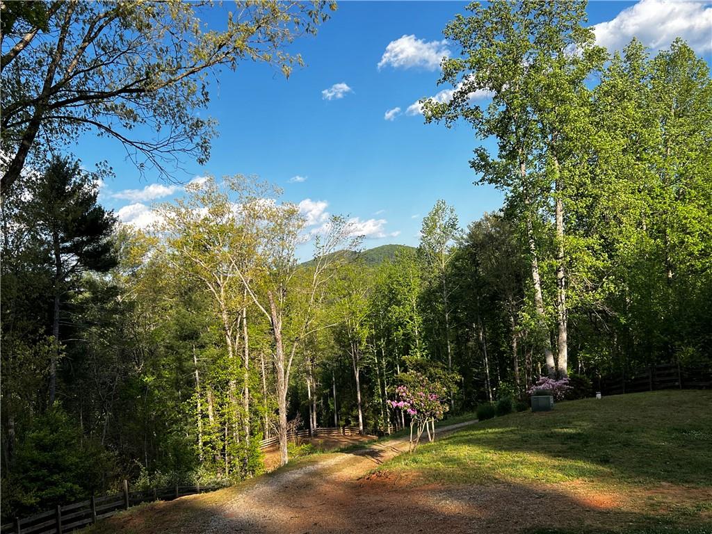 221 Muscadine Road Dahlonega, GA 30533 - Photo 59 of 69