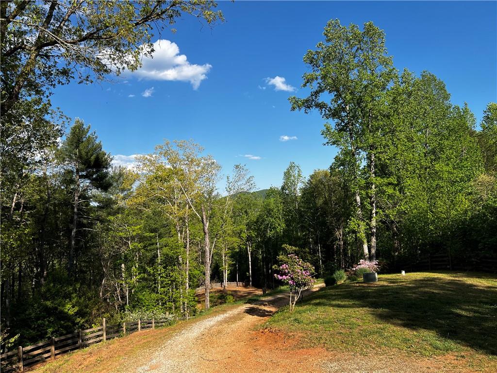 221 Muscadine Road Dahlonega, GA 30533 - Photo 60 of 69