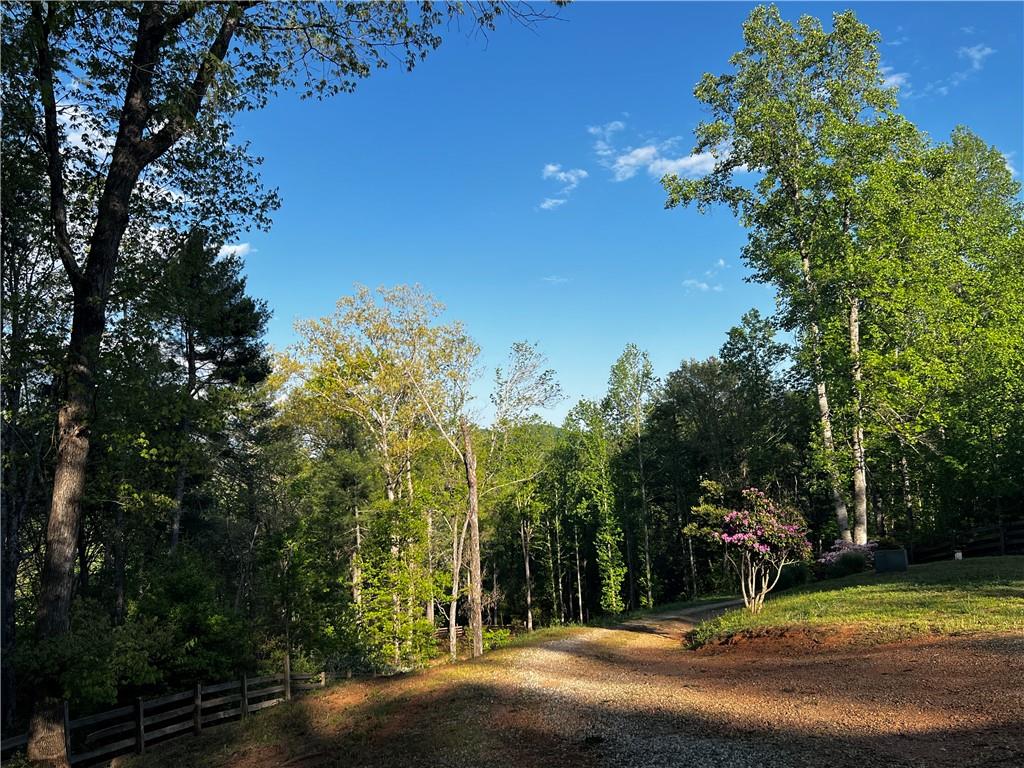 221 Muscadine Road Dahlonega, GA 30533 - Photo 61 of 69