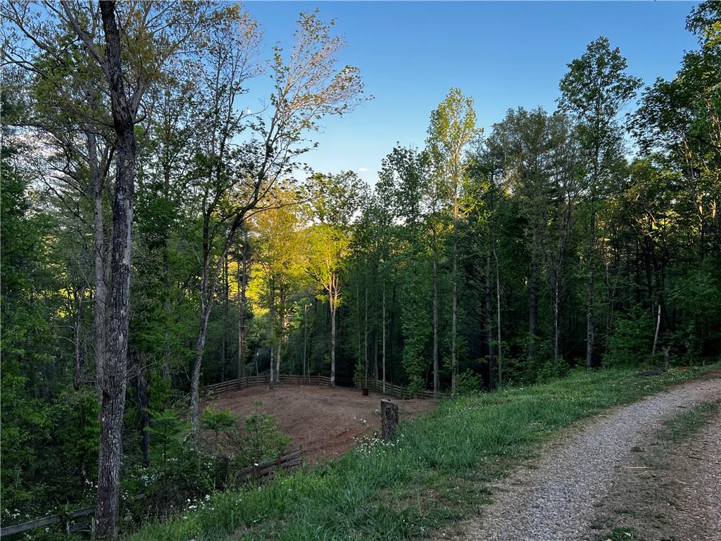 221 Muscadine Road Dahlonega, GA 30533 - Photo 63 of 69