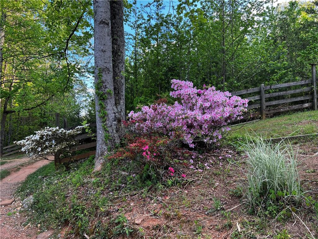 221 Muscadine Road Dahlonega, GA 30533 - Photo 66 of 69