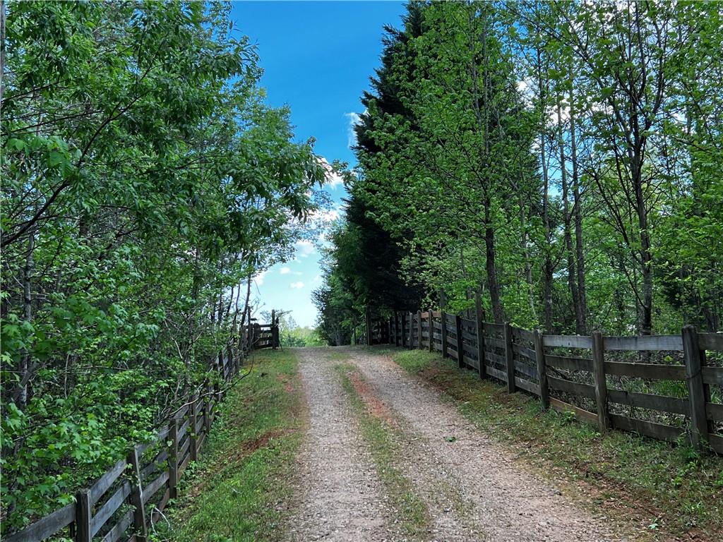 221 Muscadine Road Dahlonega, GA 30533 - Photo 67 of 69