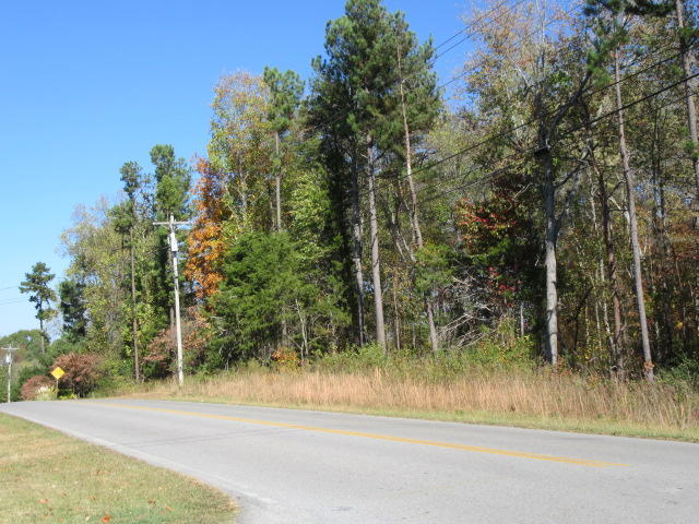 0 Oak Tree Road, Unit TR 5 Ringgold, GA 30736 - Photo 3 of 3 IMG_0728