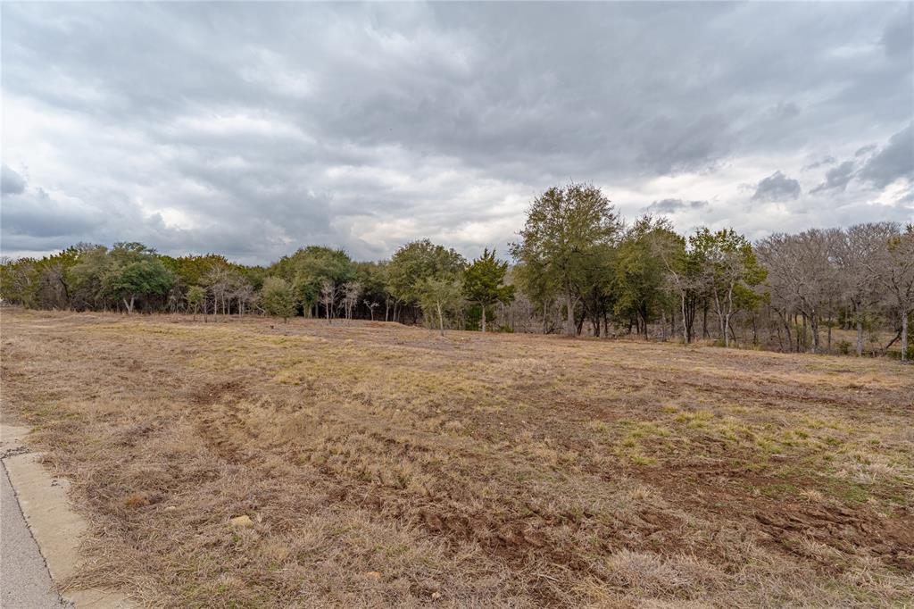 Tbd South Tbd S Big Red Way China Spring, TX 76633 - Photo 13 of 24 a view of a field with trees in the background