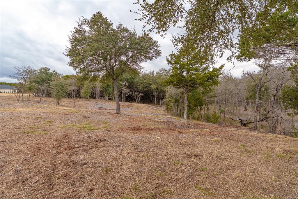 Tbd South Tbd S Big Red Way China Spring, TX 76633 - Photo 16 of 24 a view of outdoor space with trees
