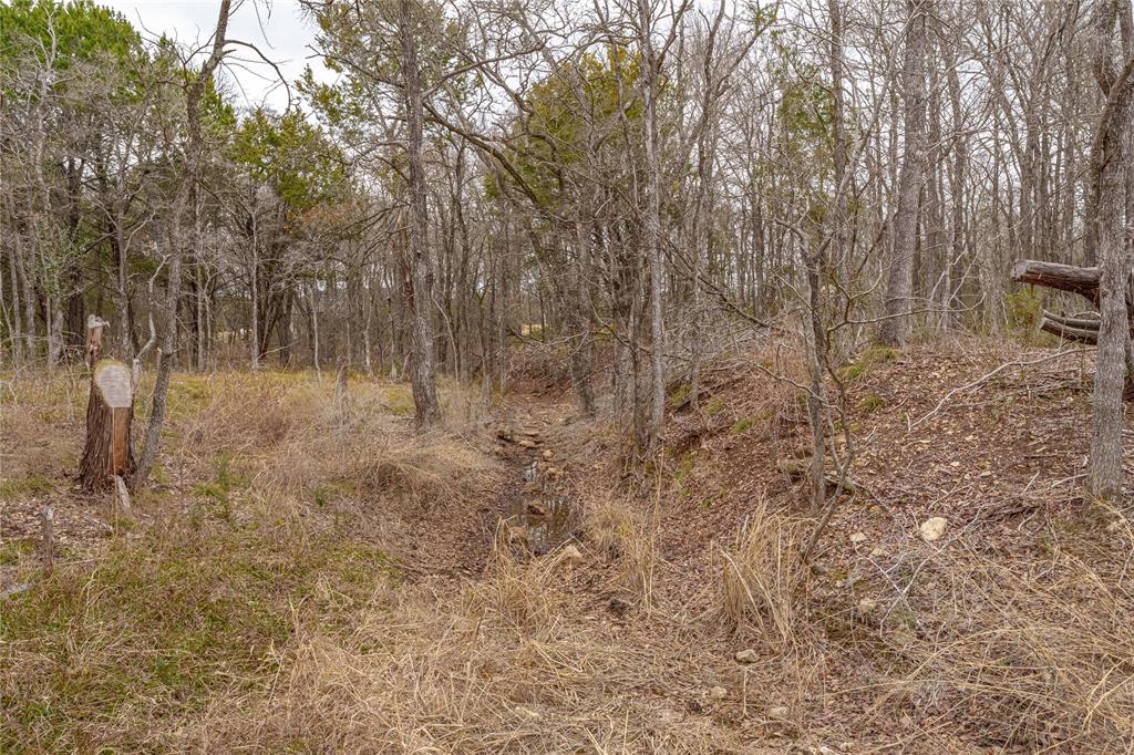 Tbd South Tbd S Big Red Way China Spring, TX 76633 - Photo 19 of 24 a view of a yard with trees