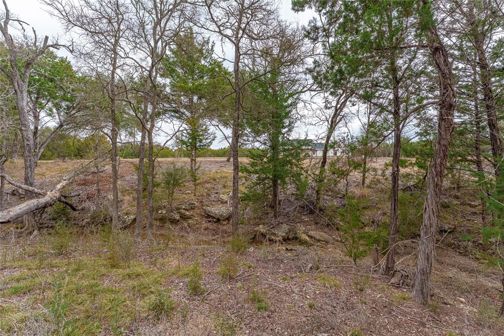 Tbd South Tbd S Big Red Way China Spring, TX 76633 - Photo 21 of 24 a view of a forest with trees in the background