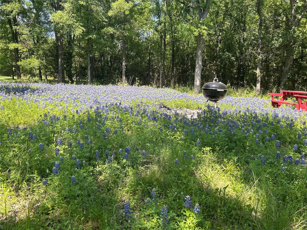 Tbd South Tbd S Big Red Way China Spring, TX 76633 - Photo 24 of 24 a view of outdoor space and yard