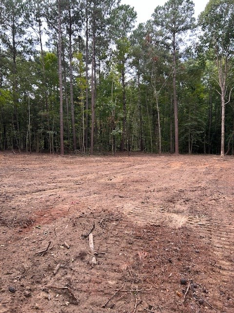 2580 Sargent Road, Unit LOT 3 Dalzell, SC 29040 - Photo 2 of 3 Gallery Image 2