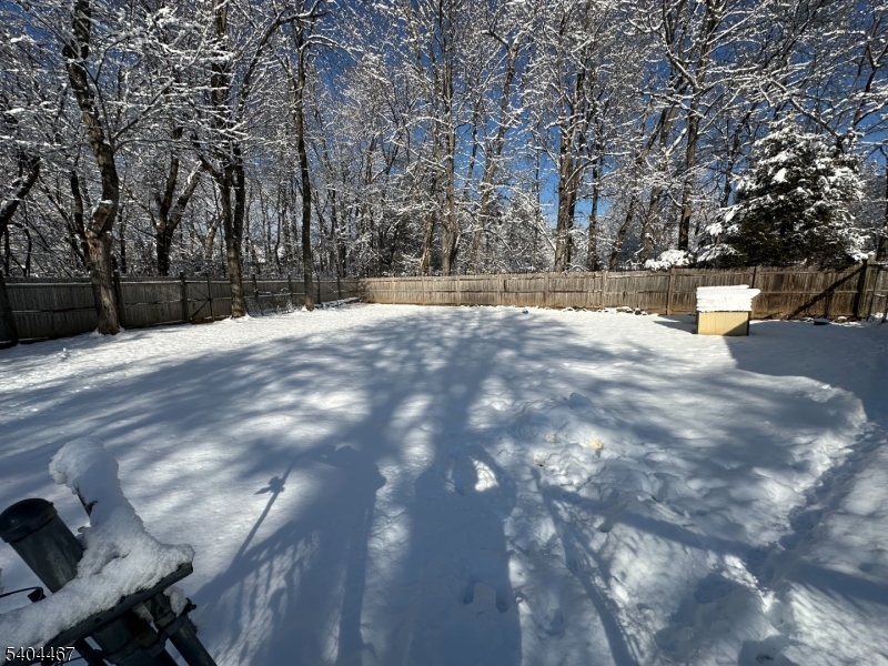 52 Passaic Avenue Livingston, NJ 07039 - Photo 4 of 12 a view of road with trees