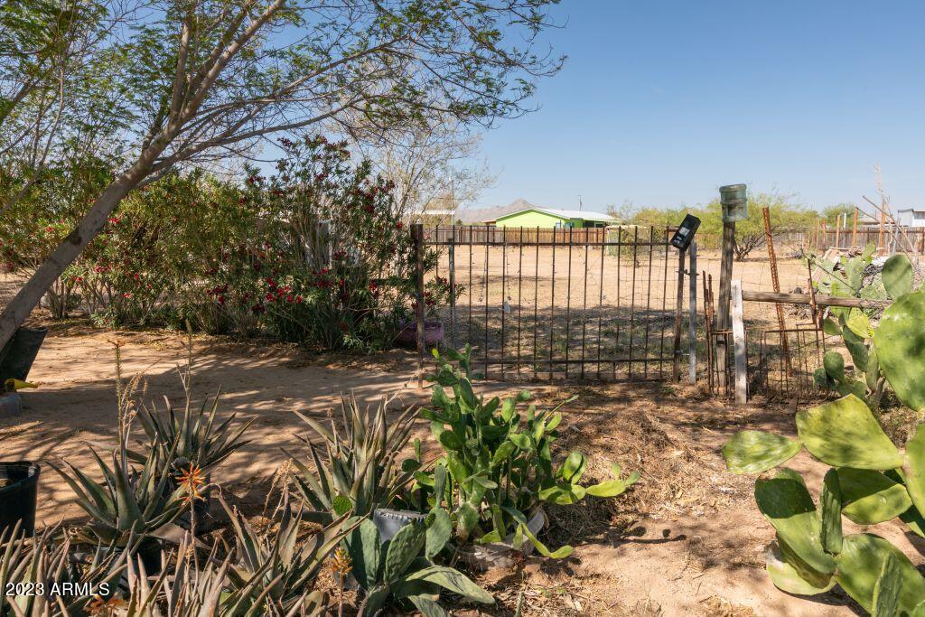 13924 South Tuthill Road Buckeye, AZ 85326 - Photo 8 of 28 back yard