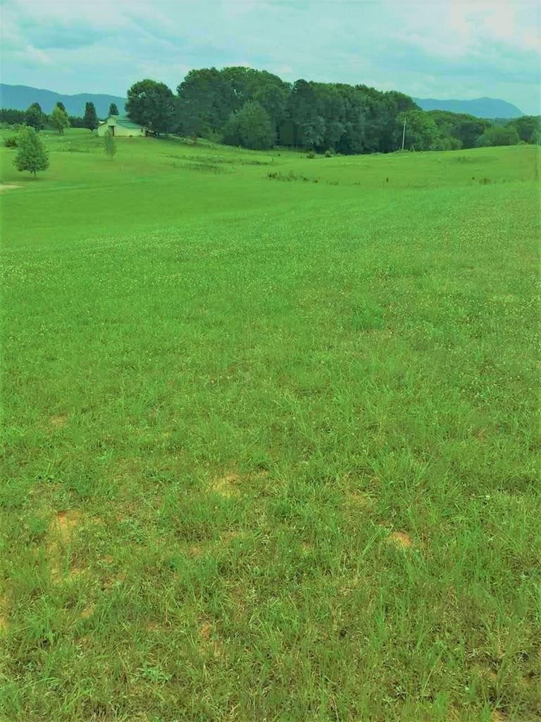 398 Columbus Road Delano, TN 37325 - Photo 5 of 5 Gallery Image 5