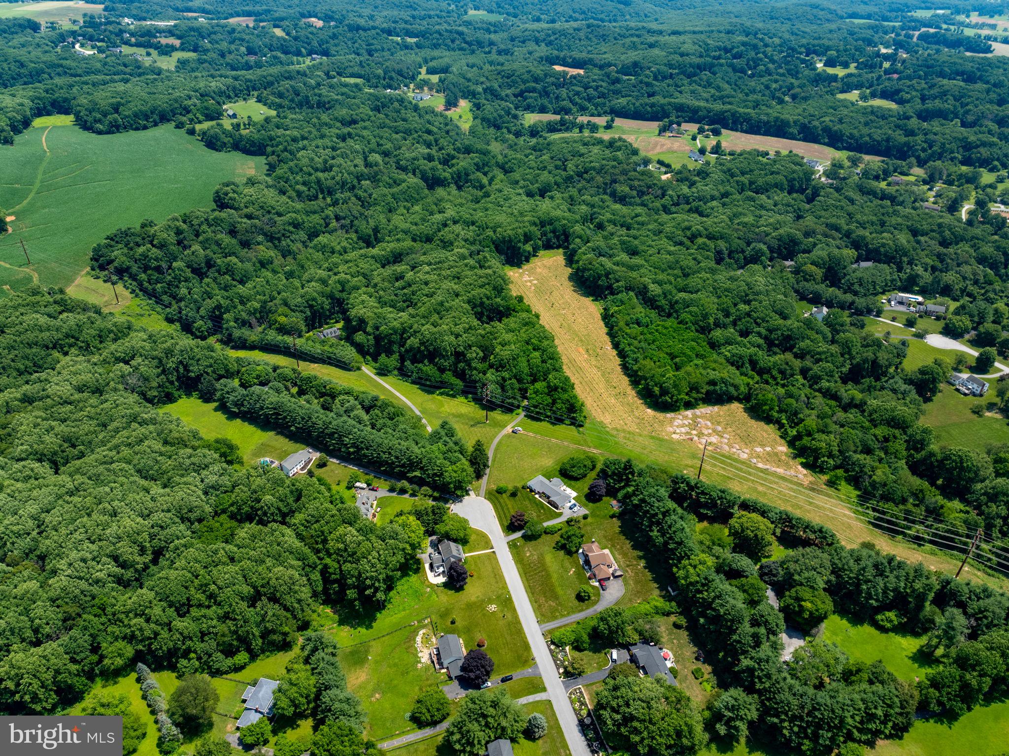 14309 A Carroll Ridge Court Baldwin, MD 21013 - Photo 9 of 9
