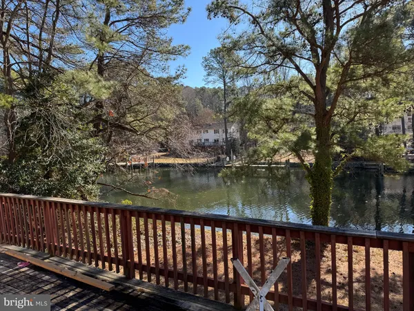 a view of lake
