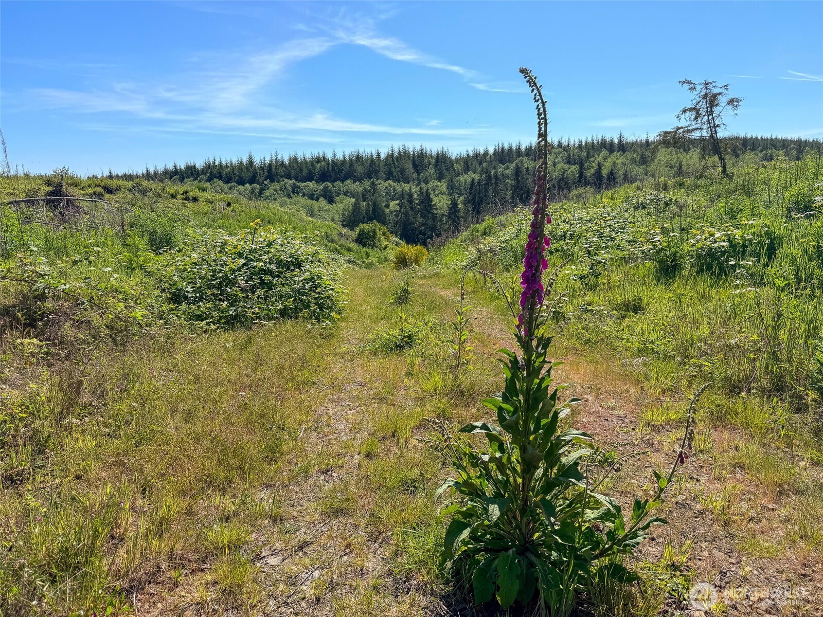 1-xxx Andy Cooper Road Port Ludlow, WA 98365 - Photo 17 of 29