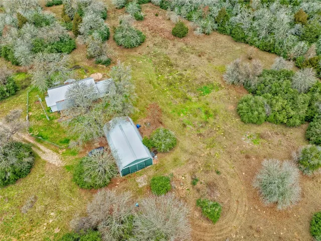 a view of a yard with plants and large trees