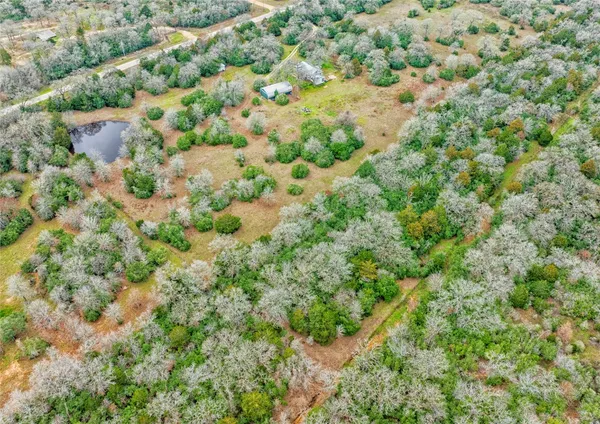 a view of a large yard with lots of bushes