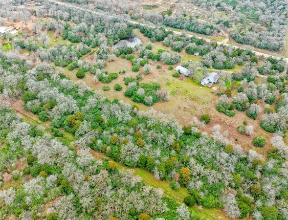 a view of a bunch of trees and bushes