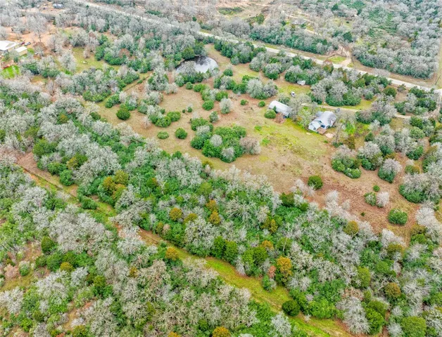 a view of a bunch of trees and bushes
