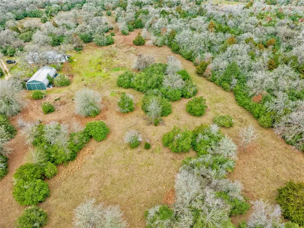 a view of a garden with a pathway