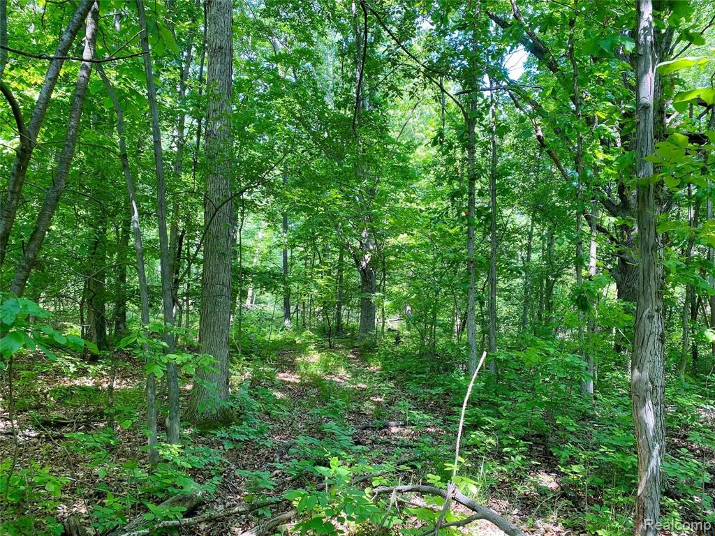 4 South Rushton Road South Lyon, MI 48178 - Photo 11 of 19