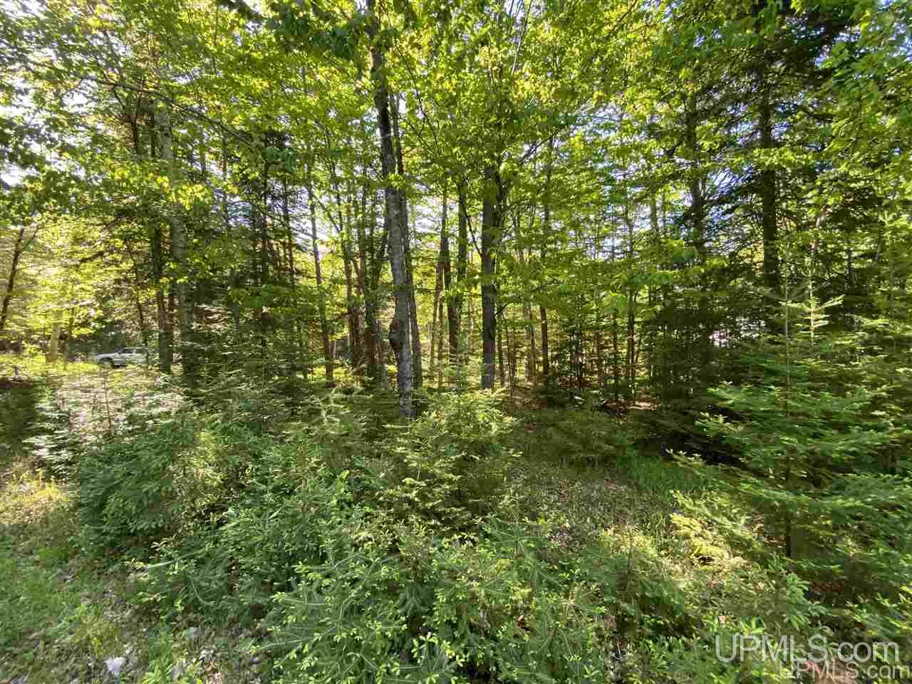 Tbd North Grosse Point Shores Road Dollar Bay, MI 49922 - Photo 11 of 16