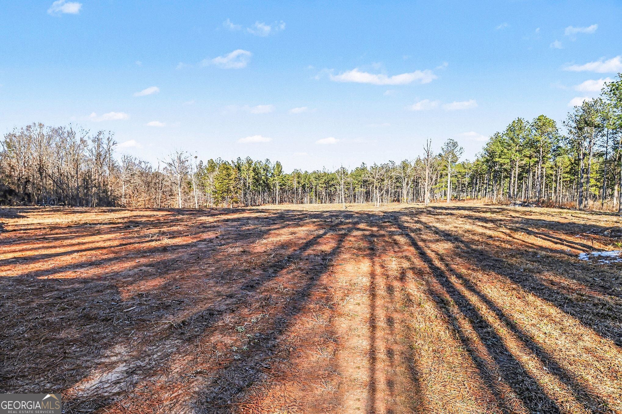 2285 Cherokee Road Comer, GA 30629 - Photo 5 of 23 Gallery Image 5
