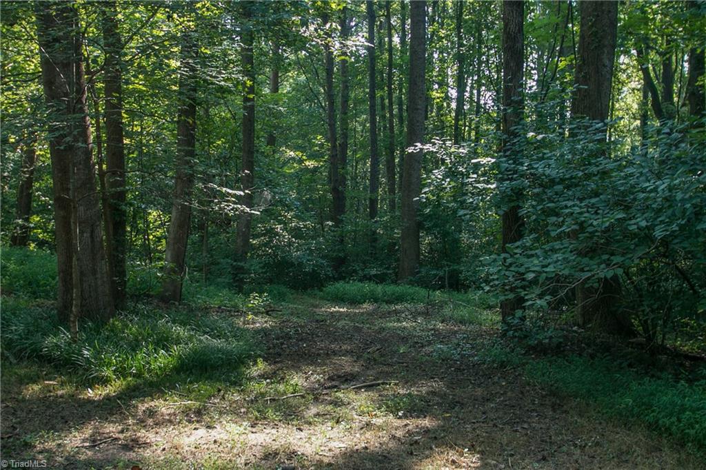 5600 Tanyard Court Oak Ridge, NC 27310 - Photo 26 of 27