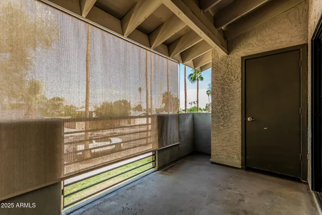 a view of a yard with plants