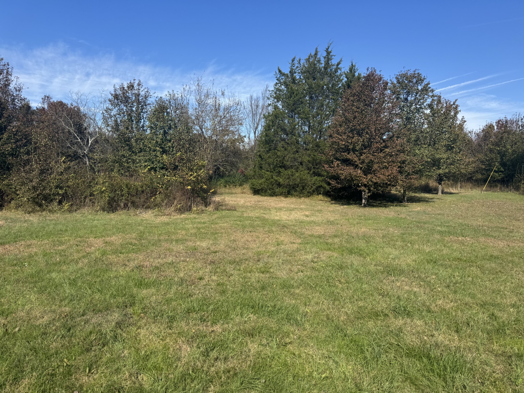 315 Deer Point Road Unionville, TN 37180 - Photo 4 of 19 Gallery Image 4