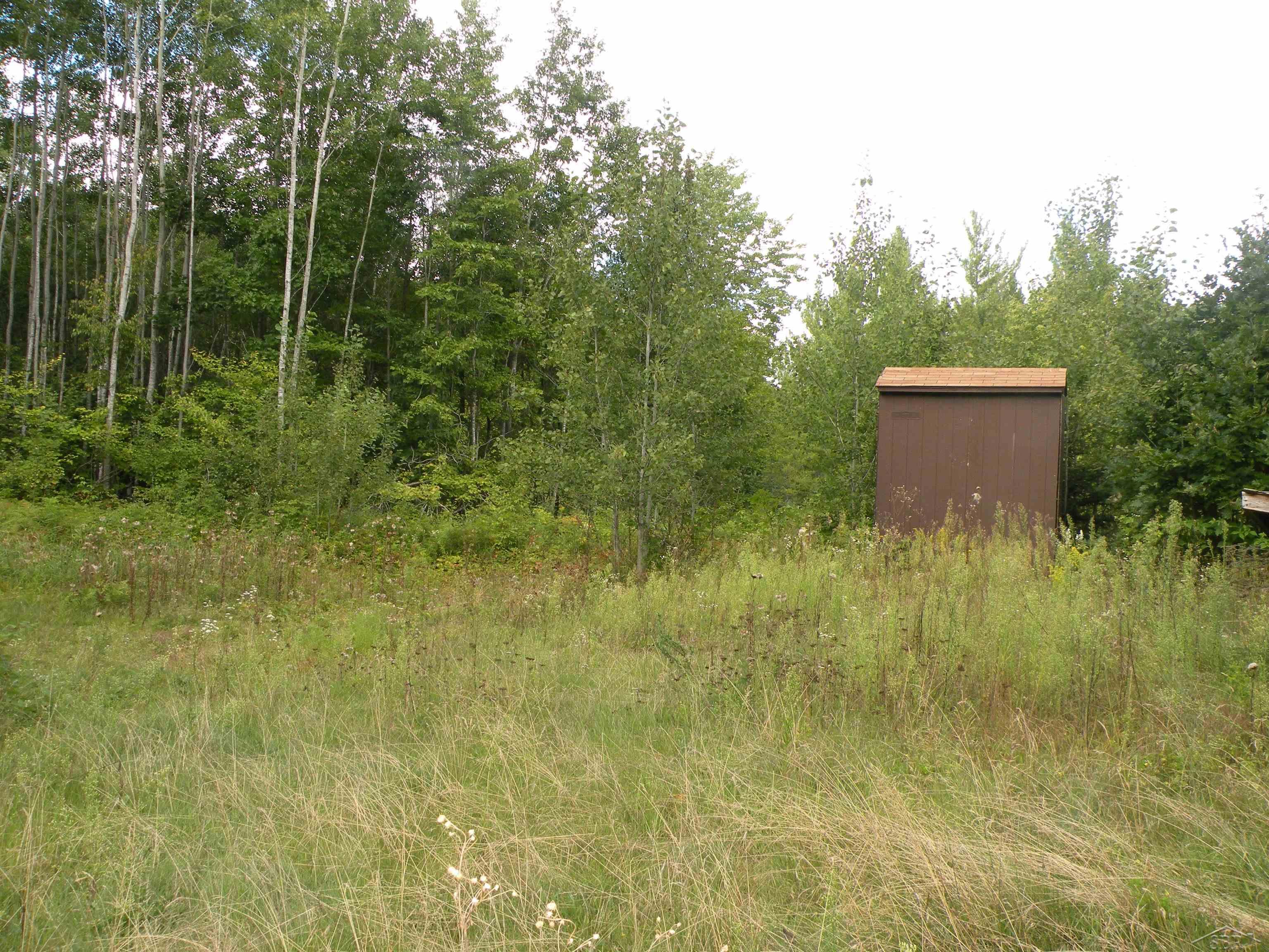 North County Line Road Farwell, MI 48622 - Photo 10 of 18