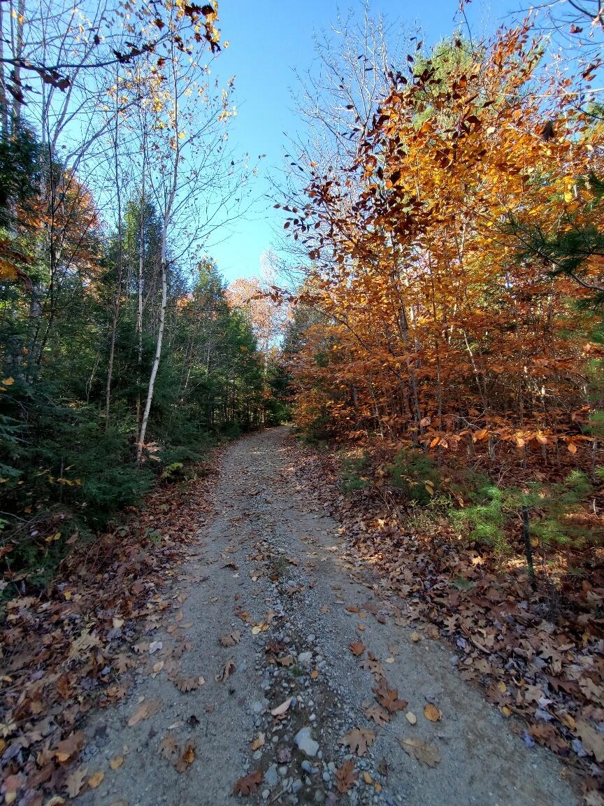 0 Sandy Beach Road Beddington, ME 04622 - Photo 6 of 27 Sandy Beach Rd