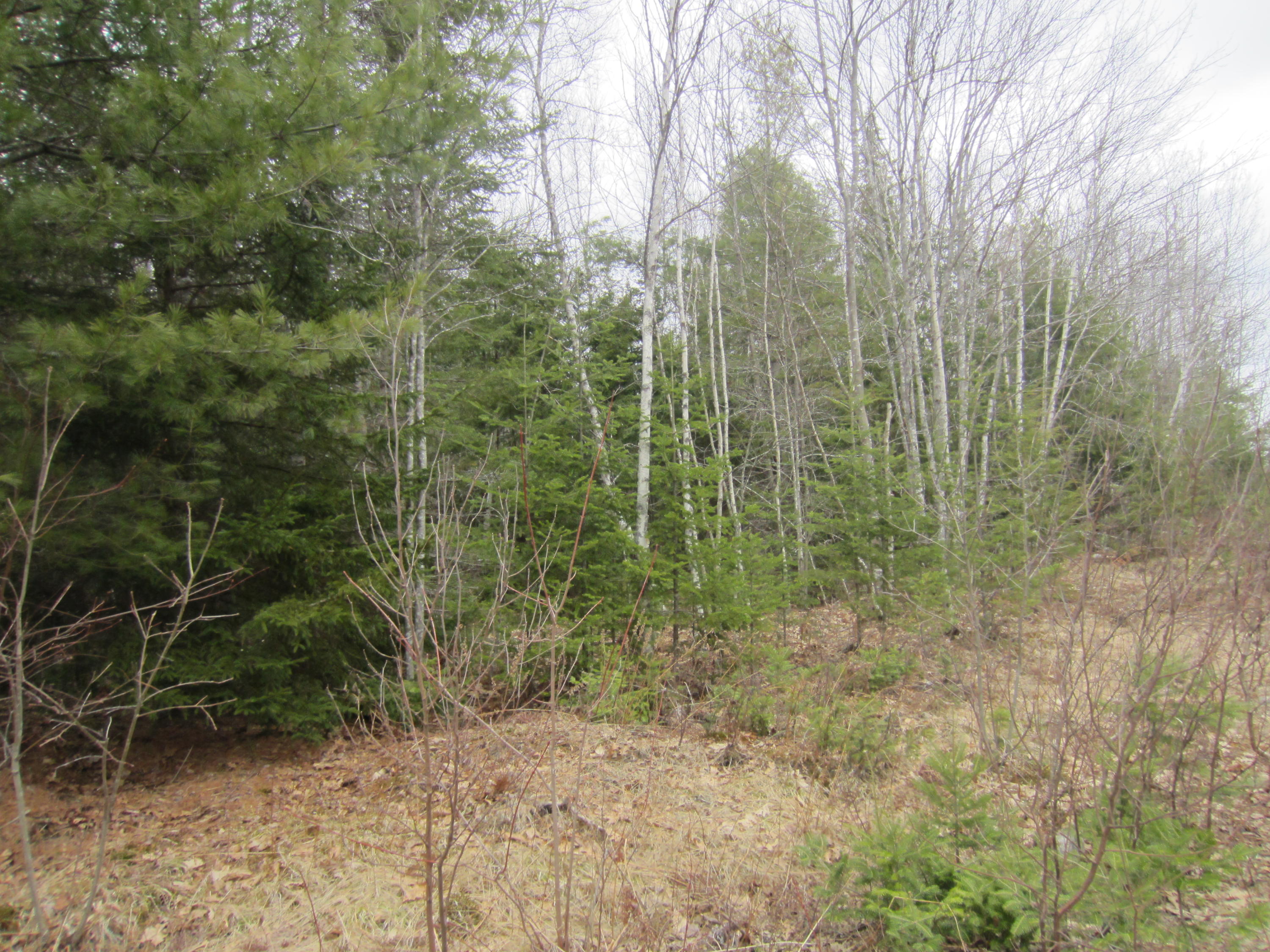 0 Brook Road Wiscasset, ME 04578 - Photo 4 of 7 IMG_4839