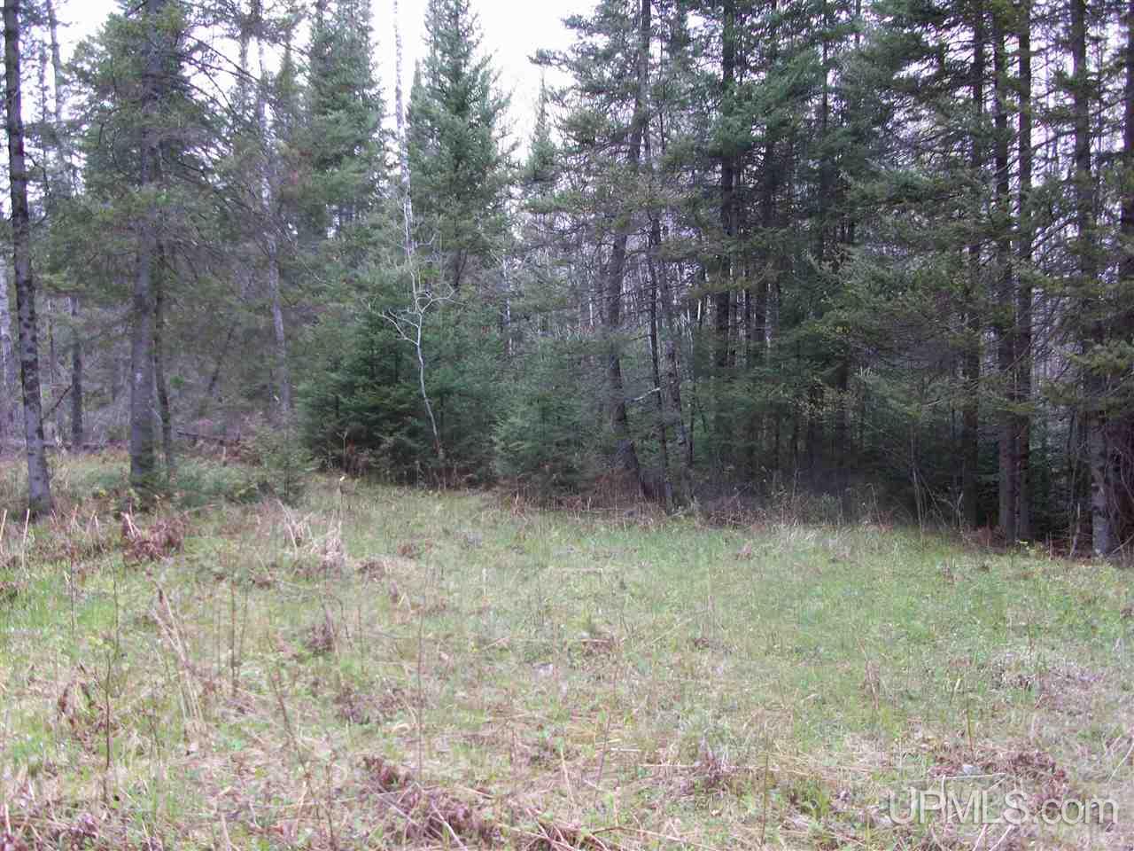 Tbd County Line Road Rock, MI 49880 - Photo 10 of 10