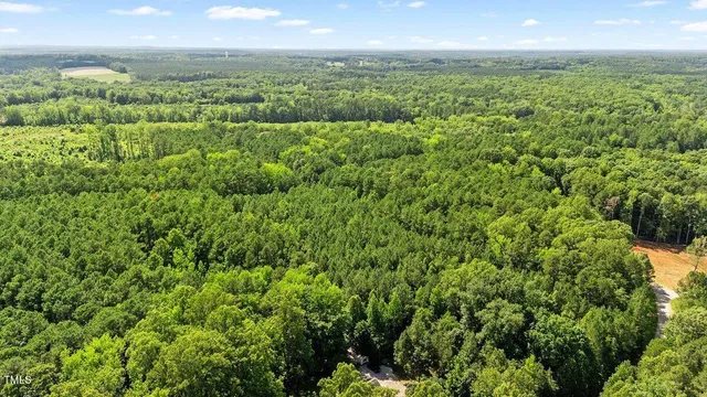 a view of yard with green space