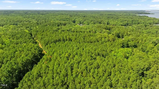 a view of a green field with lots of bushes