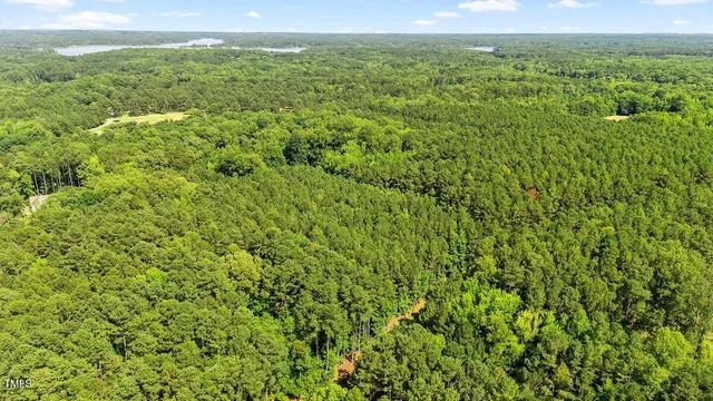 a view of a green field with lots of bushes