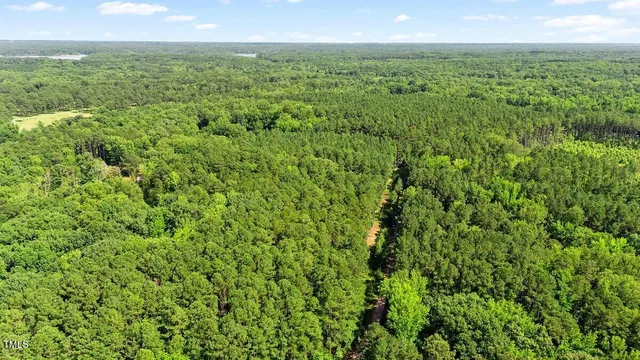 a view of a green field with lots of bushes
