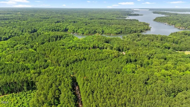a view of a lush green forest with trees and some houses