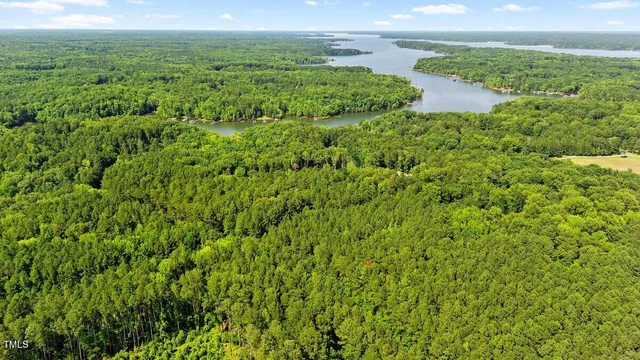 a view of a lush green space with sea