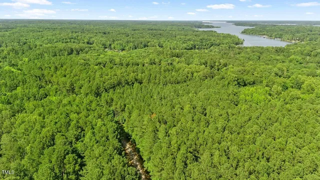 a view of a field with an ocean