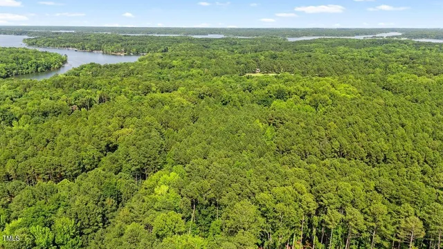 a view of a field with an ocean