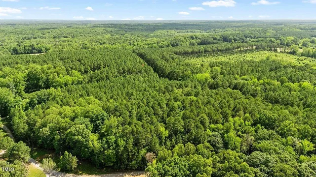 a view of a city with lush green forest