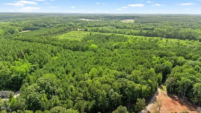 a view of a city with lush green forest