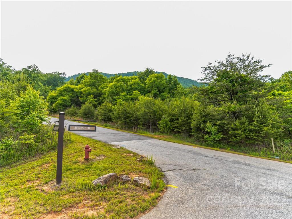 Lot 163 Deep Gap Farm Road East Mill Spring, NC 28756 - Photo 3 of 15 a view of a yard with an outdoor space
