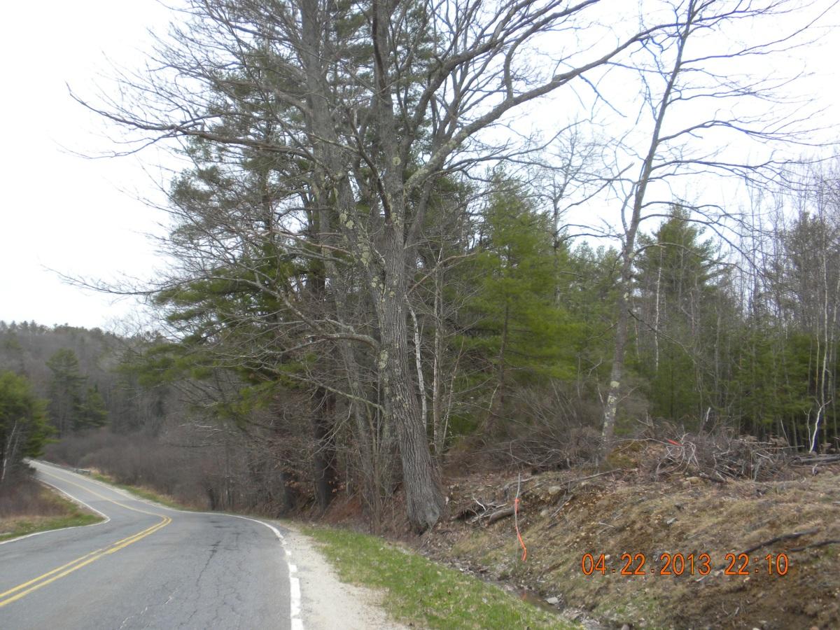 85 Mitchell Hill Road Gorham, ME 04038 - Photo 5 of 39 DSCN6280 a