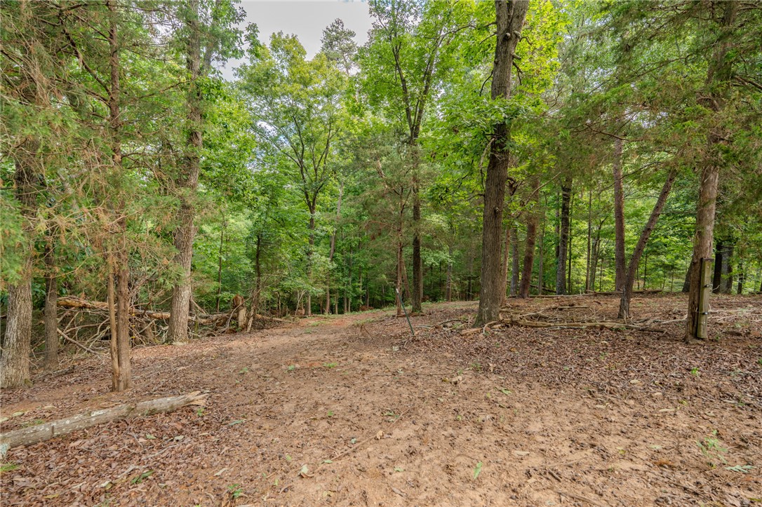 0 Providence Church Road, Unit LOT 1B Anderson, SC 29626 - Photo 16 of 28
