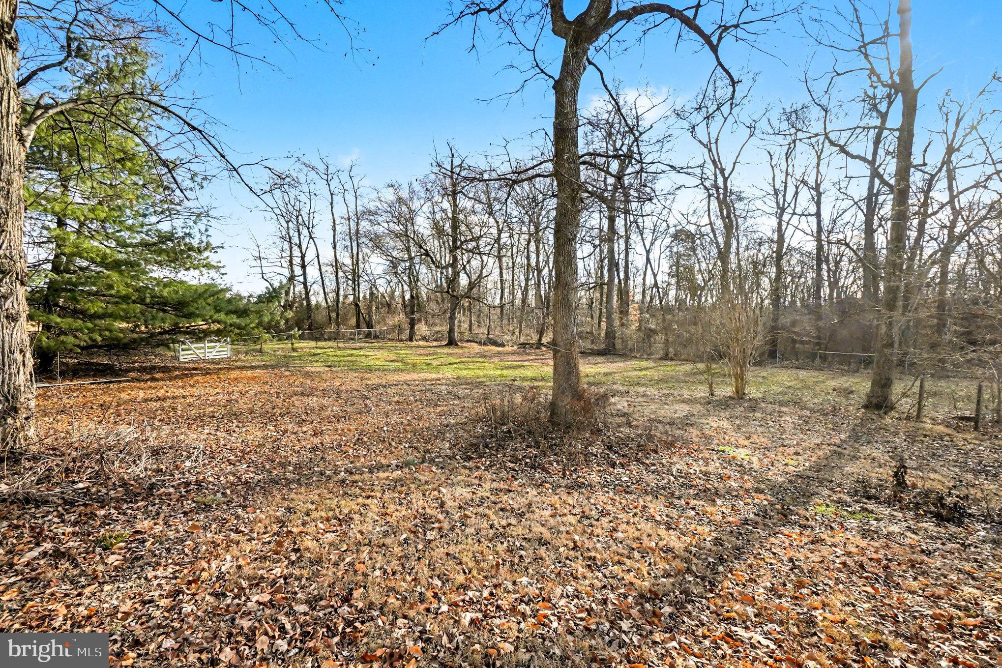 661 Pilot Town Road Conowingo, MD 21918 - Photo 36 of 38 a backyard of a house with lots of green space