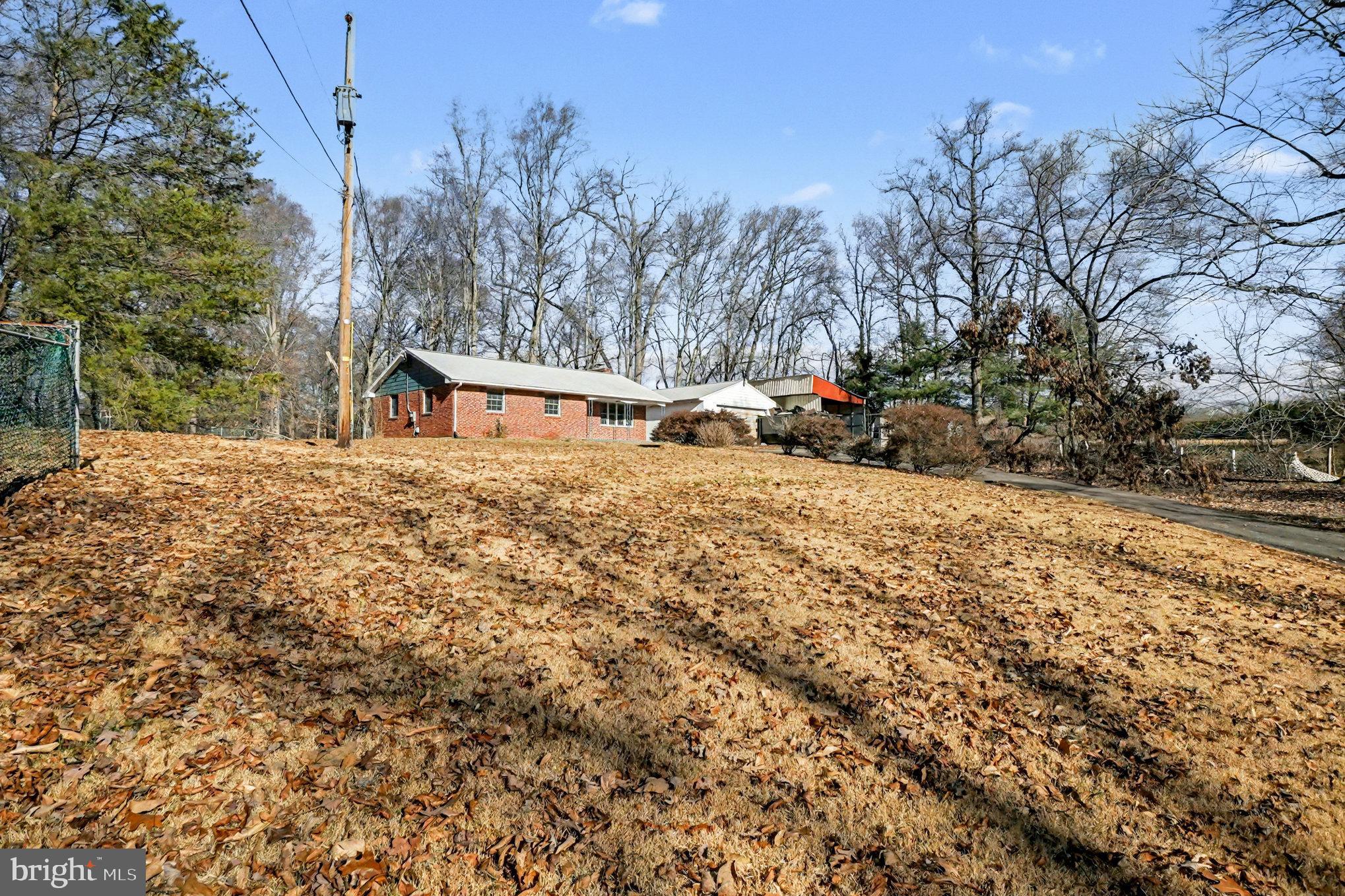 661 Pilot Town Road Conowingo, MD 21918 - Photo 38 of 38 a view of a yard with large trees