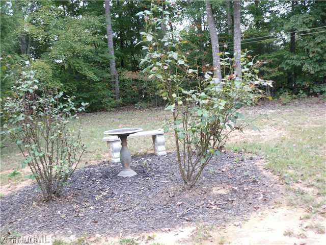 8586 Erect Road Seagrove, NC 27341 - Photo 14 of 14 Land. Lots of cleared level land for outside activites.
